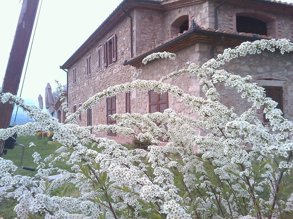 Agriturismo Il Poggiolo 몬테메라노 외부 사진