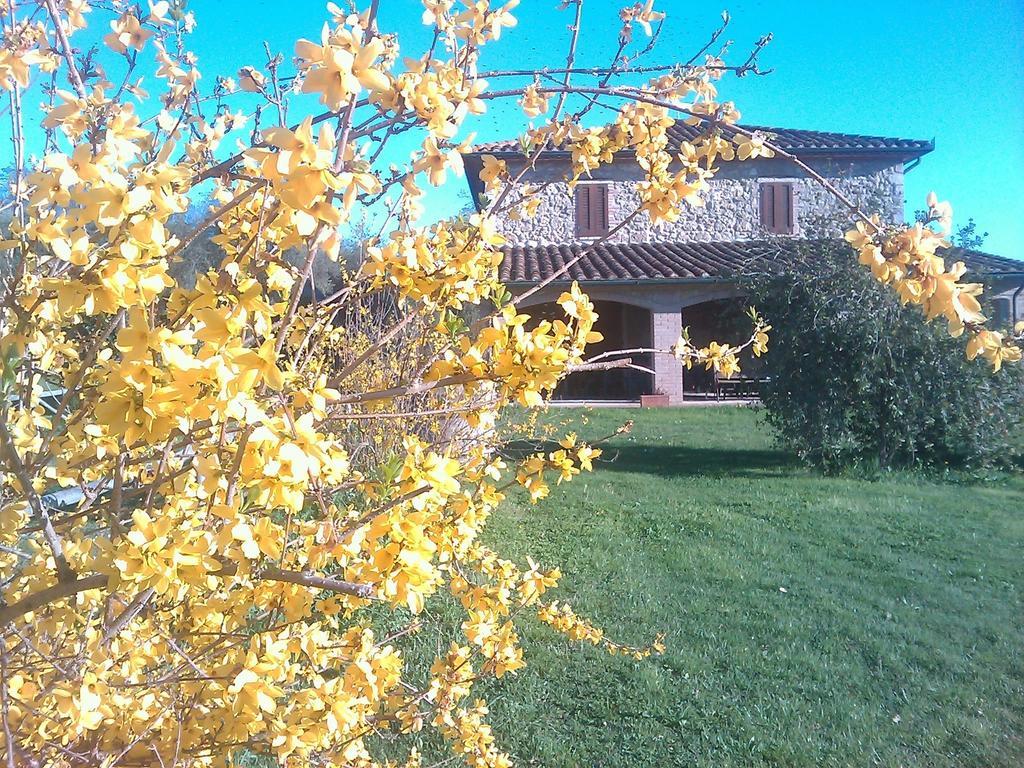 Agriturismo Il Poggiolo 몬테메라노 외부 사진